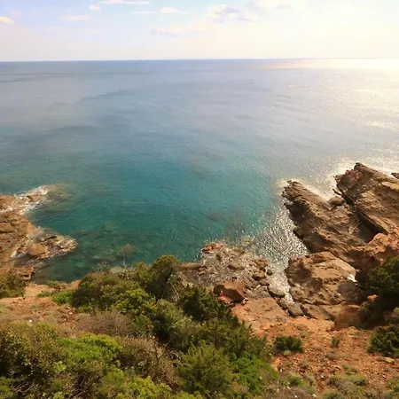 Accademia * Λιβόρνο